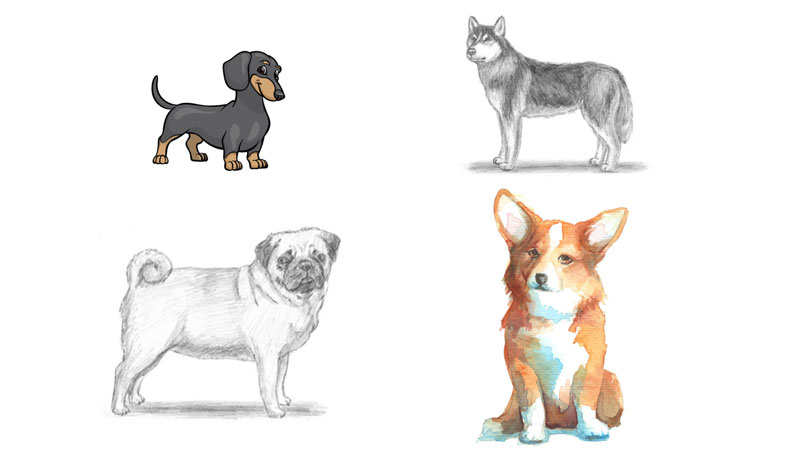 Hướng dẫn cách vẽ chú chó dễ thương, đơn giản ai cũng có thể làm được