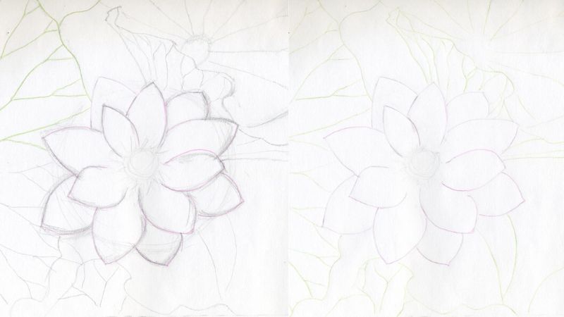 Vẽ hoa sen: 3 cách vẽ đơn giản và đẹp nhất
