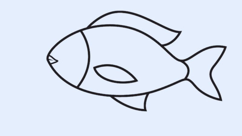 Vẽ con cá: Hướng dẫn cách vẽ ấn tượng chi tiết, dễ hiểu
