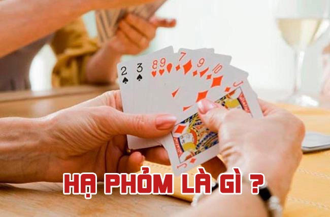 Hạ Phỏm Là Gì? Hướng Dẫn Chơi Phỏm Từ A – Z Cho Người Mới Chơi