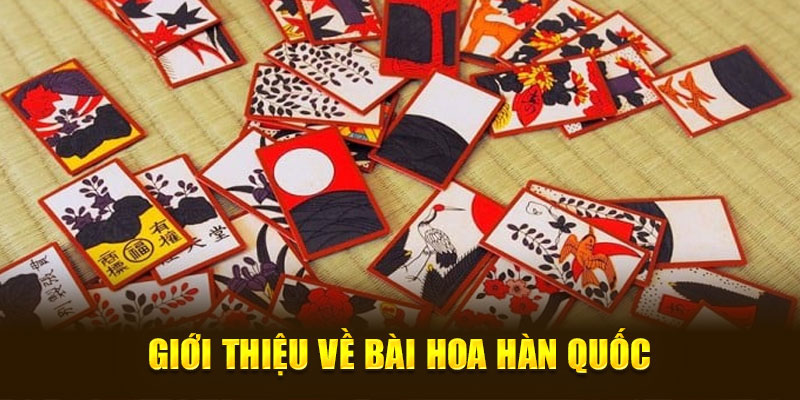 Giới Thiệu Về Hoa Hàn Quốc