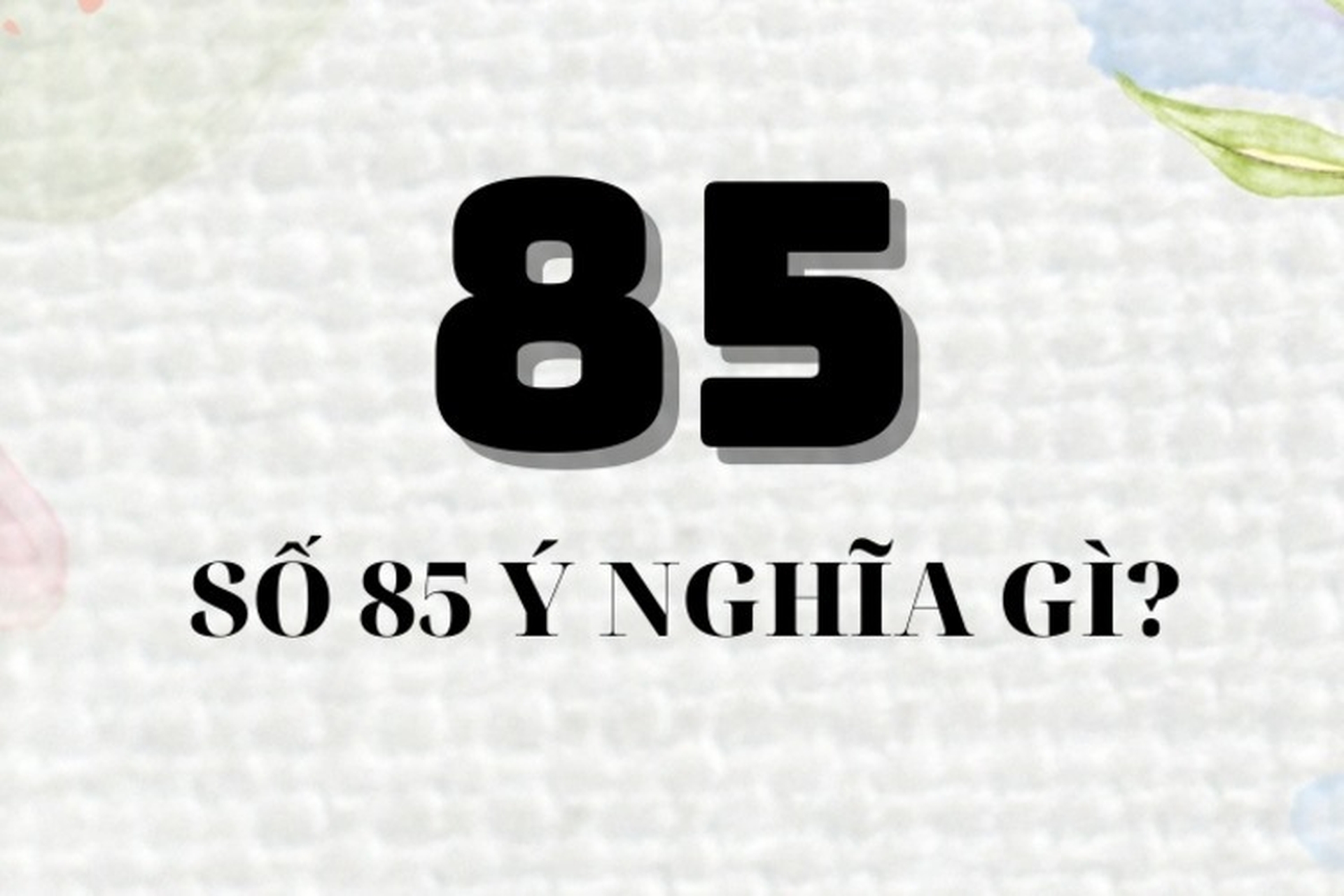 Khám Phá Ý Nghĩa Số 85 Theo Quan Niệm Dân Gian Và Phong Thủy