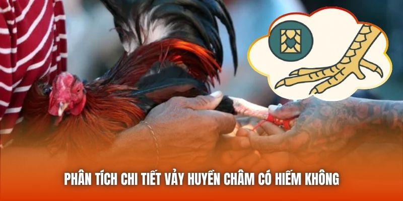 Vảy Huyền Châm Có Hiếm Không - Đánh Giá Sơ Lược Đặc Điểm